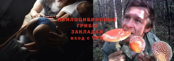 кокс Алексин