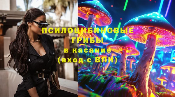 кокс Алексин