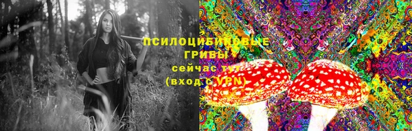 apvp Алзамай